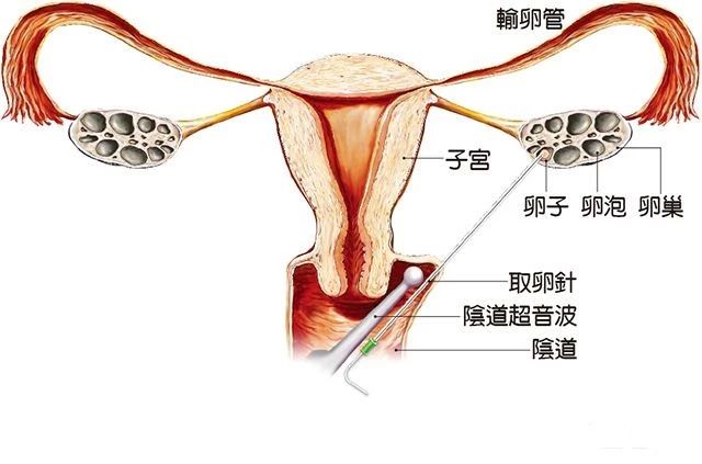 微信图片_20191007175622.jpg