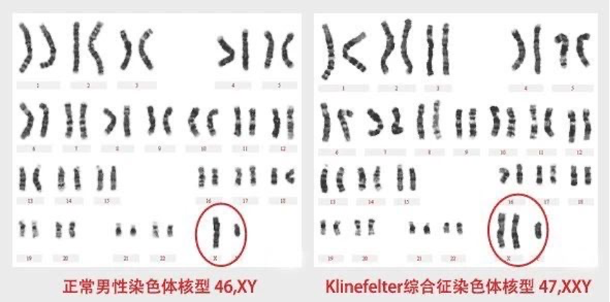 图片 3.png