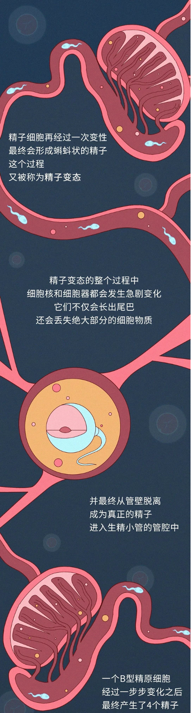 7.png