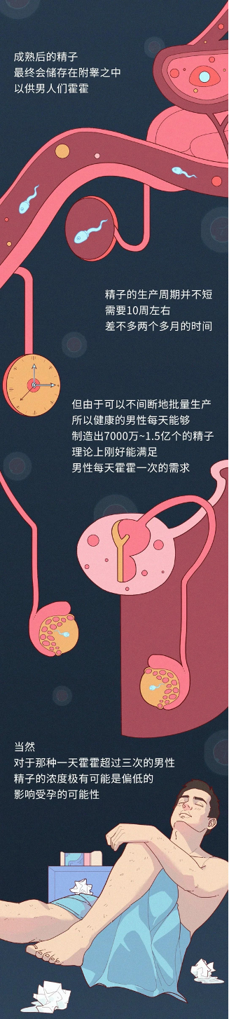 8.png